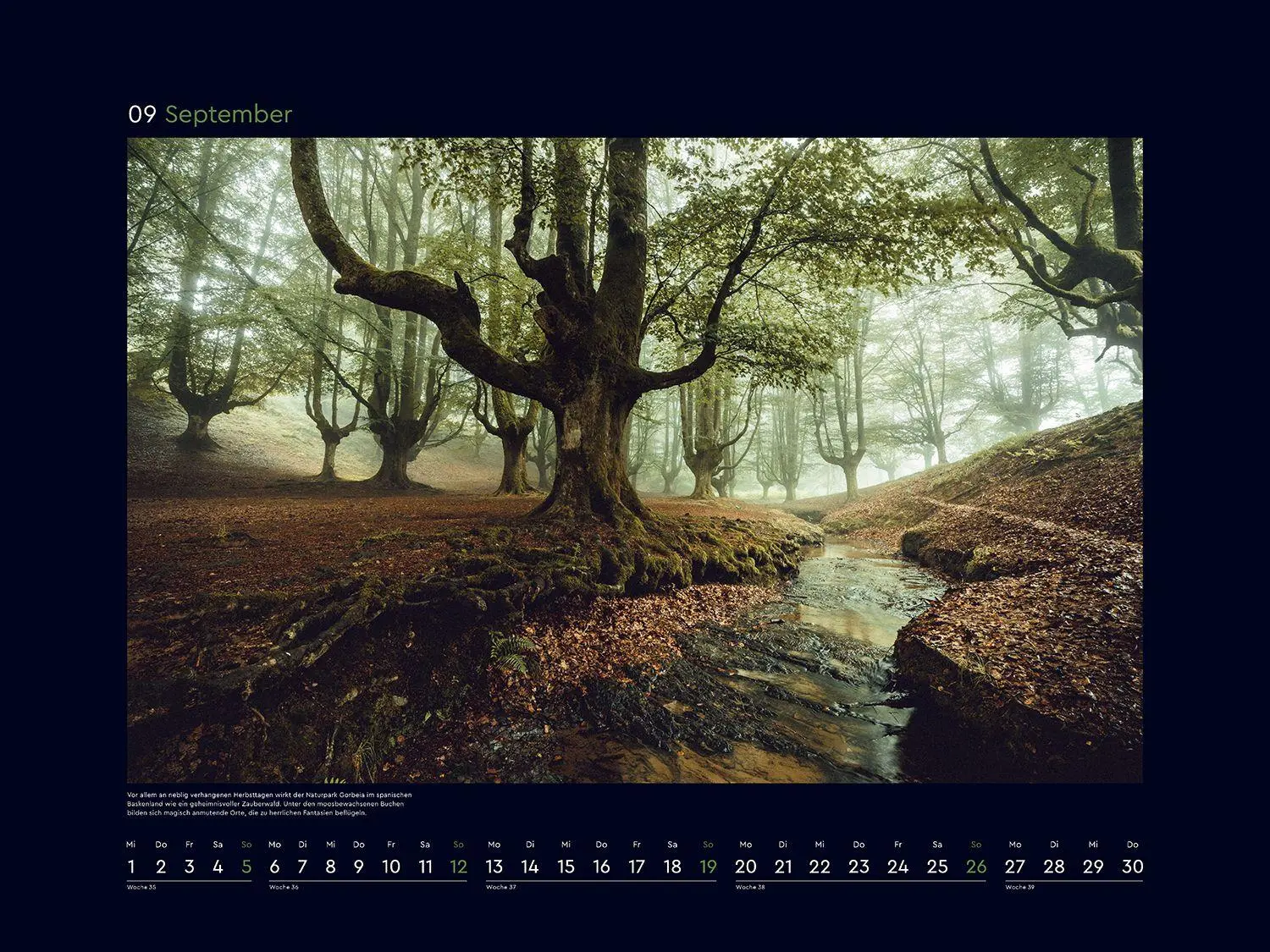 Bild: 9783965915312 | Magische Wälder der Erde - KUNTH Wandkalender 2027 | Kalender | 14 S.