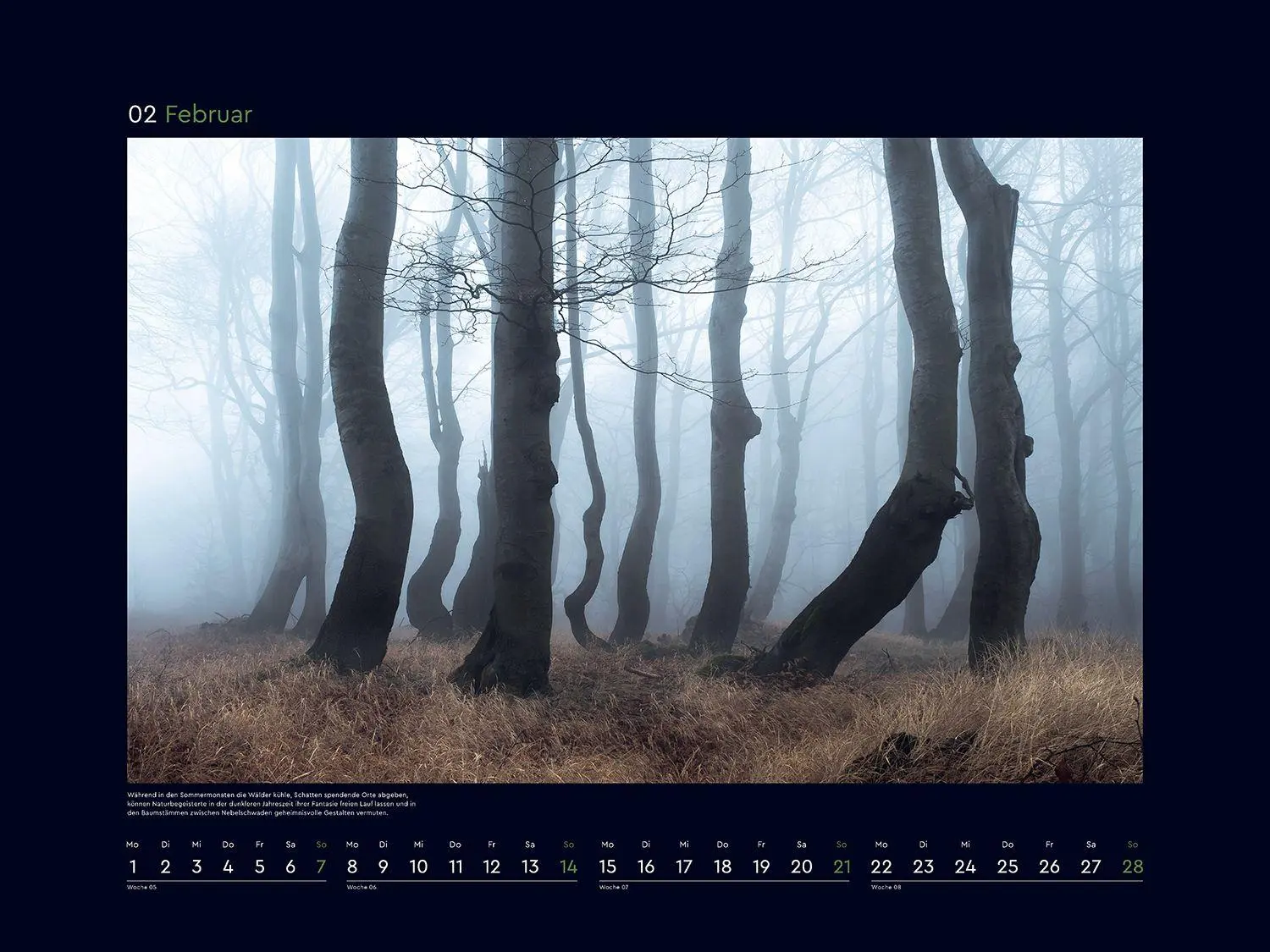 Bild: 9783965915312 | Magische Wälder der Erde - KUNTH Wandkalender 2027 | Kalender | 14 S.