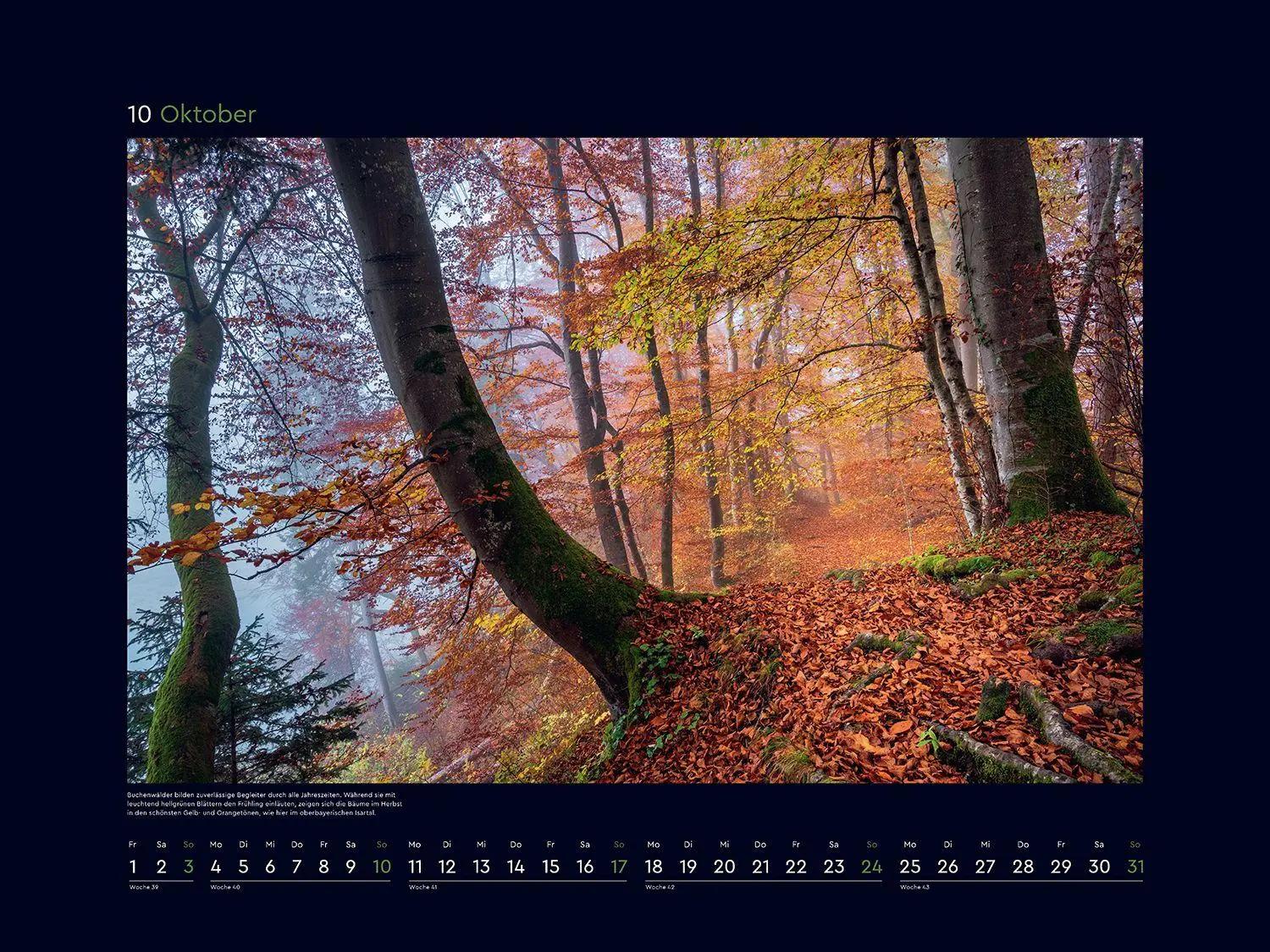 Bild: 9783965915312 | Magische Wälder der Erde - KUNTH Wandkalender 2027 | Kalender | 14 S.