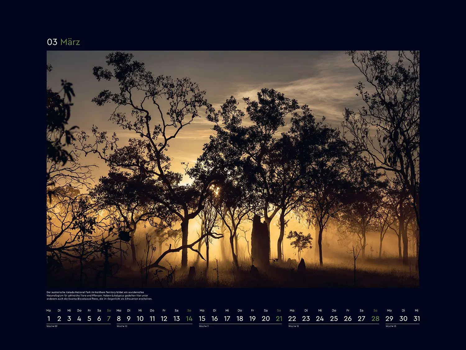 Bild: 9783965915312 | Magische Wälder der Erde - KUNTH Wandkalender 2027 | Kalender | 14 S.