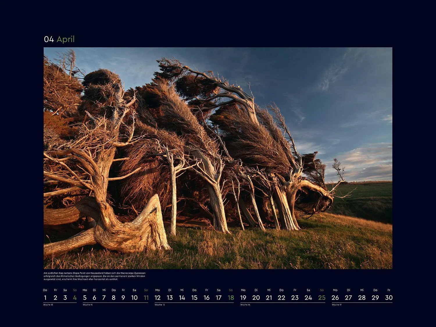 Bild: 9783965915312 | Magische Wälder der Erde - KUNTH Wandkalender 2027 | Kalender | 14 S.