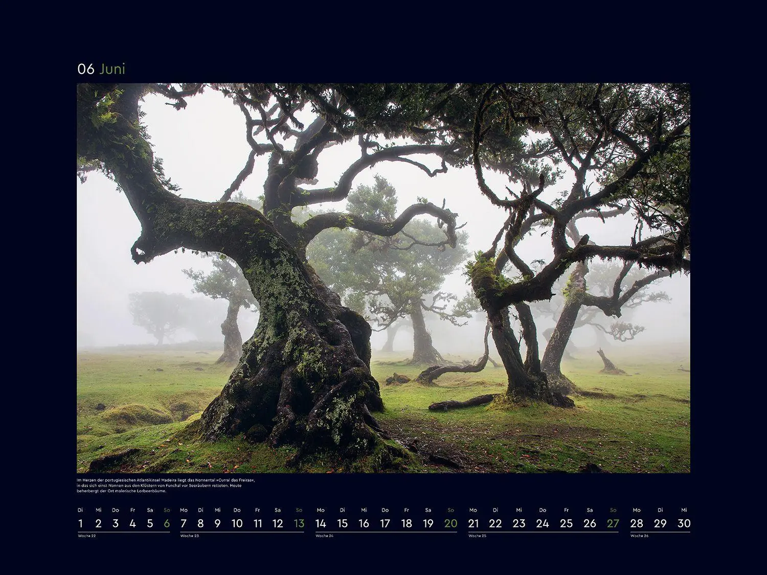 Bild: 9783965915312 | Magische Wälder der Erde - KUNTH Wandkalender 2027 | Kalender | 14 S.