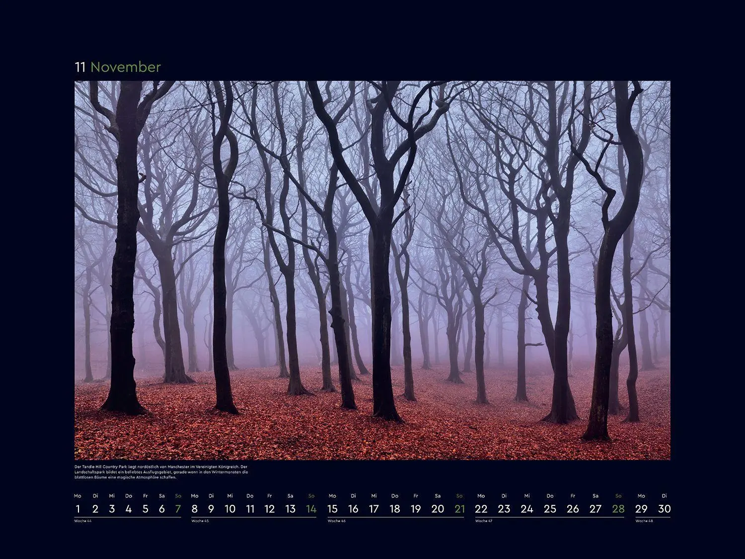Bild: 9783965915312 | Magische Wälder der Erde - KUNTH Wandkalender 2027 | Kalender | 14 S.