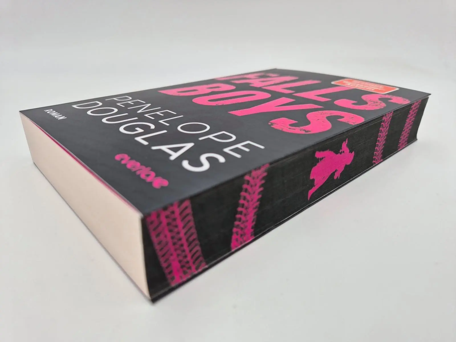 Bild: 9783492065412 | Falls Boys | Penelope Douglas | Taschenbuch | 512 S. | Deutsch | 2026