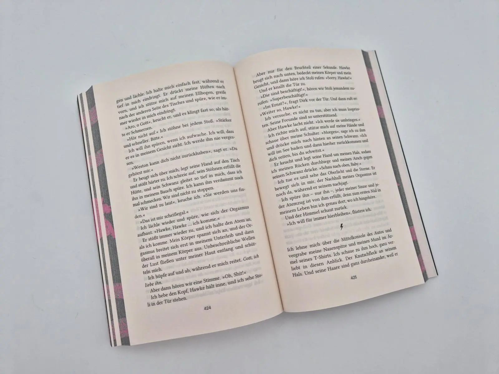 Bild: 9783492065412 | Falls Boys | Penelope Douglas | Taschenbuch | 512 S. | Deutsch | 2026