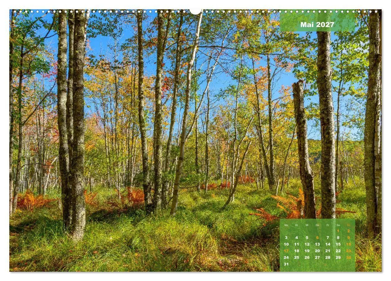 Bild: 9783569755512 | New England - Vielfalt einer Region (Wandkalender 2027 DIN A2...