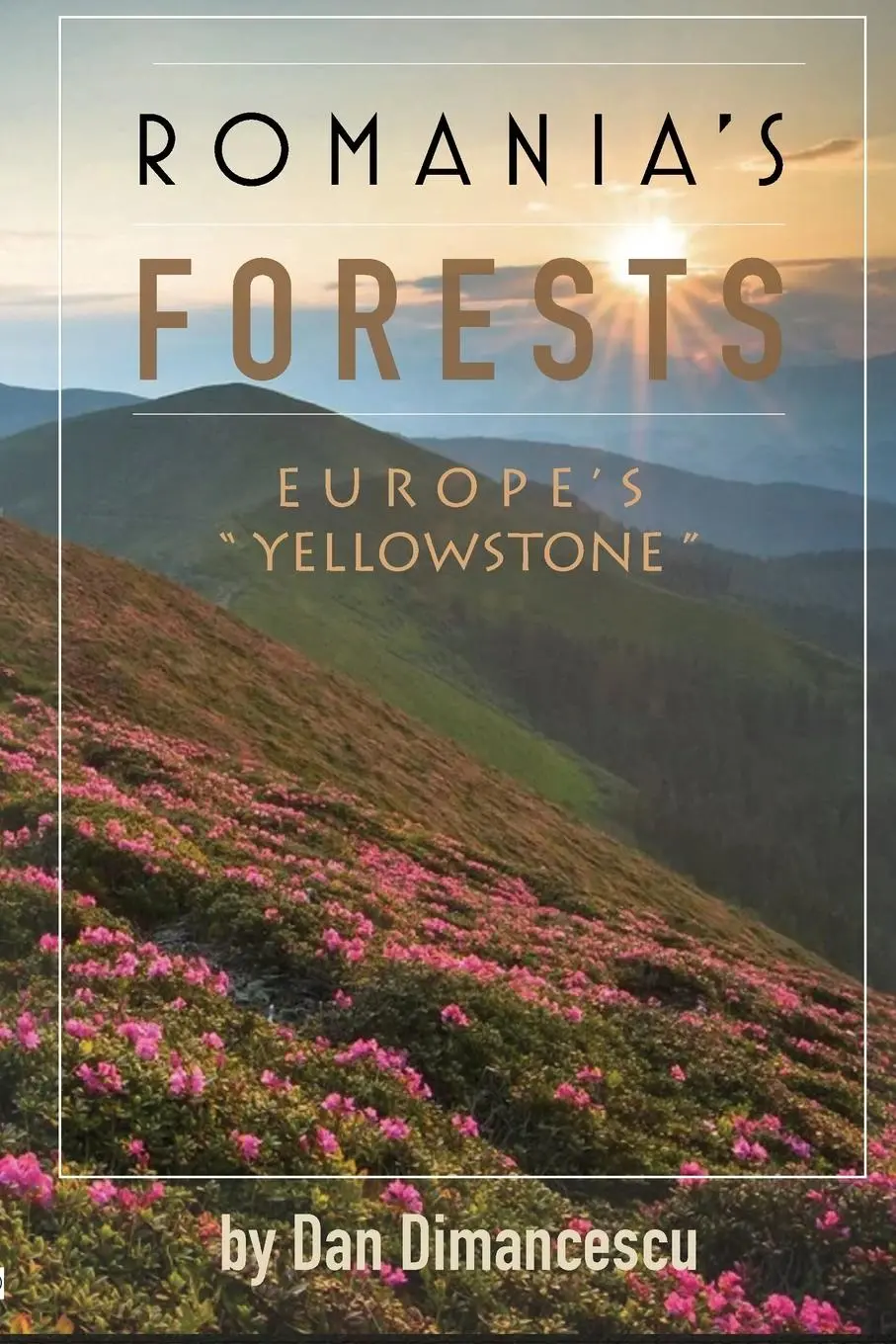 Cover: 9781716075612 | ROMANIA'S FORESTS | Europe's "Yellowstone" | Dan Dimancescu | Buch