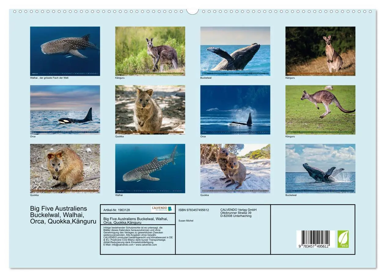 Bild: 9783457495612 | Big Five Australiens Buckelwal, Walhai, Orca, Quokka,Känguru...