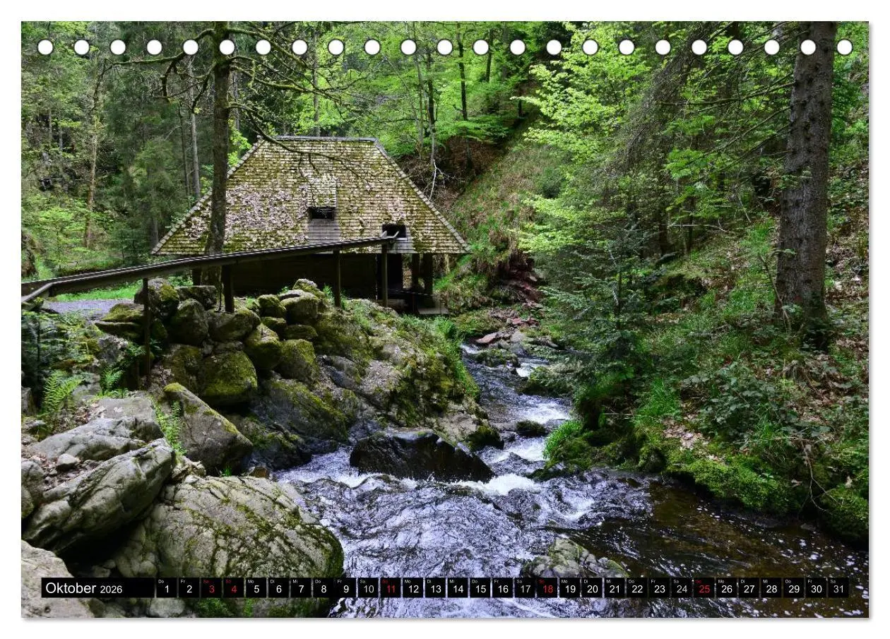 Bild: 9783516105612 | Romantischer Schwarzwald (Tischkalender 2026 DIN A5 quer), CALVENDO...