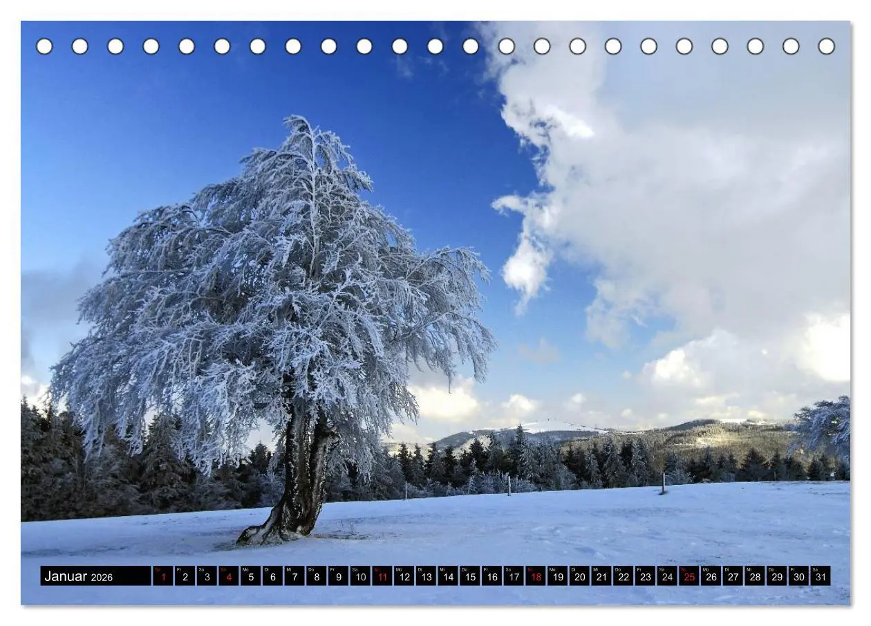 Bild: 9783516105612 | Romantischer Schwarzwald (Tischkalender 2026 DIN A5 quer), CALVENDO...