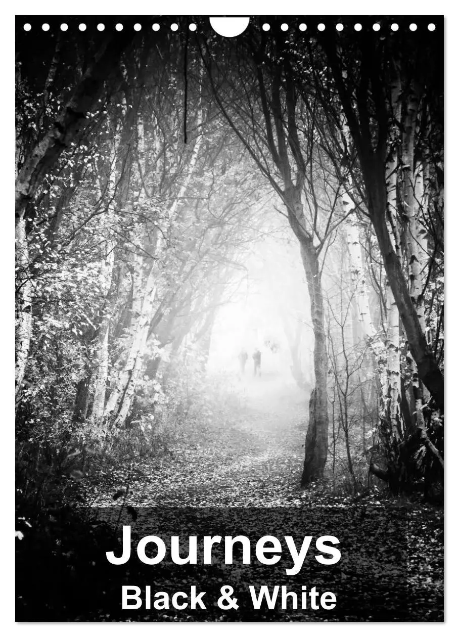 Cover: 9783516575712 | Journeys - Black &amp; White (Wall Calendar 2026 DIN A4 portrait),...