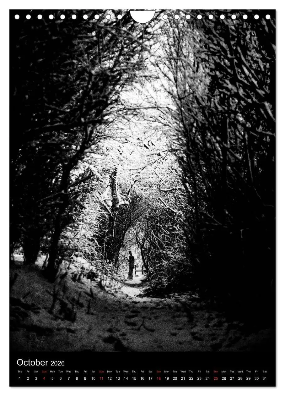 Bild: 9783516575712 | Journeys - Black &amp; White (Wall Calendar 2026 DIN A4 portrait),...
