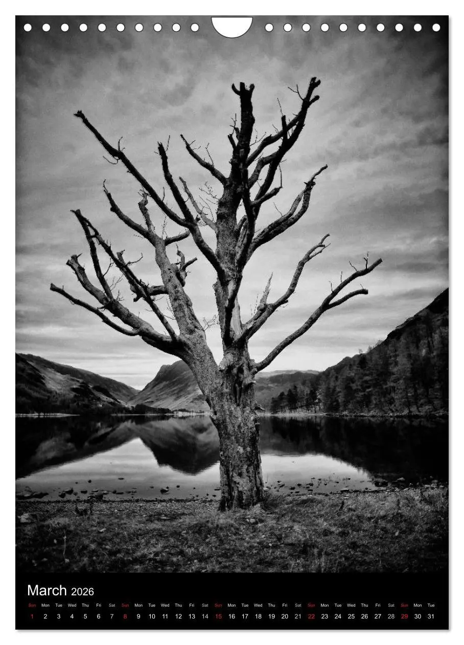 Bild: 9783516575712 | Journeys - Black &amp; White (Wall Calendar 2026 DIN A4 portrait),...
