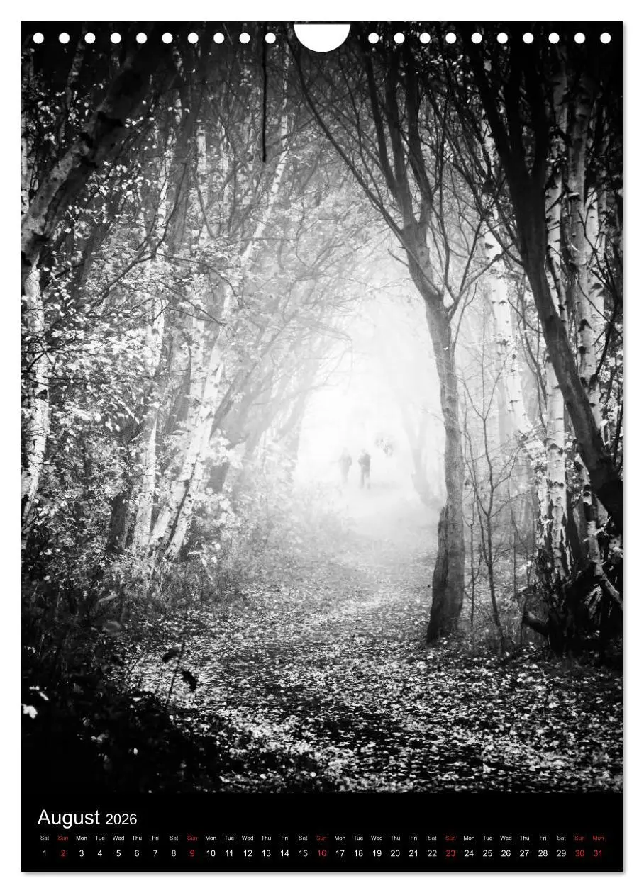 Bild: 9783516575712 | Journeys - Black &amp; White (Wall Calendar 2026 DIN A4 portrait),...