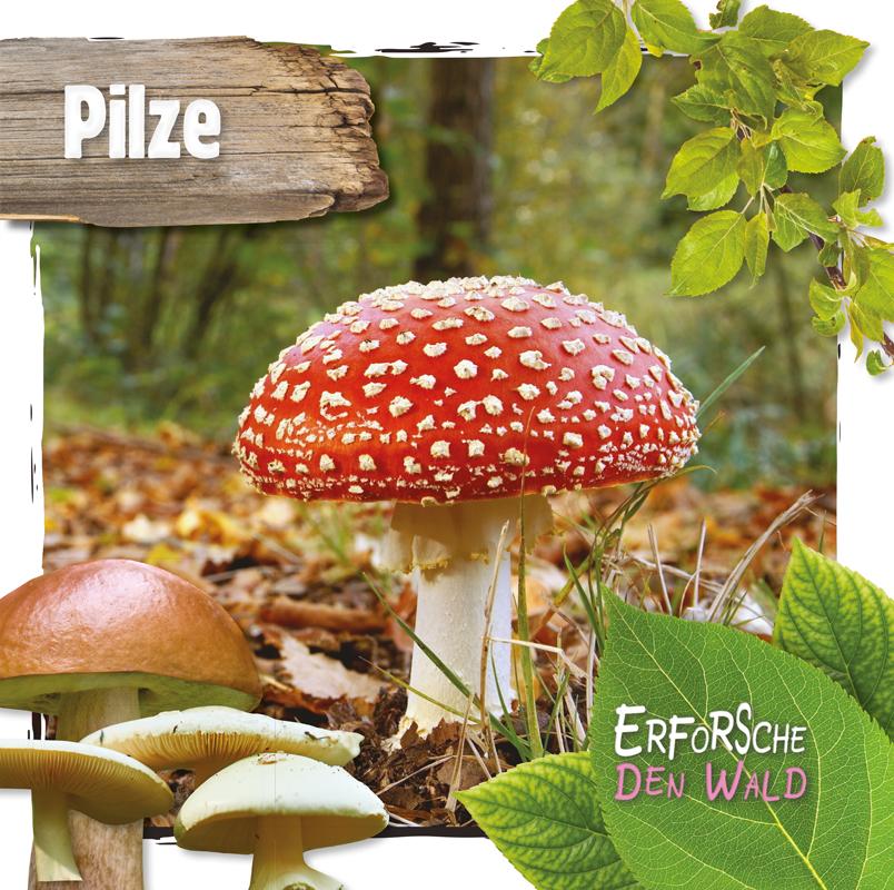 Cover: 9789463415712 | Pilze | Erforsche den Wald | Robin Twiddy | Buch | 24 S. | Deutsch