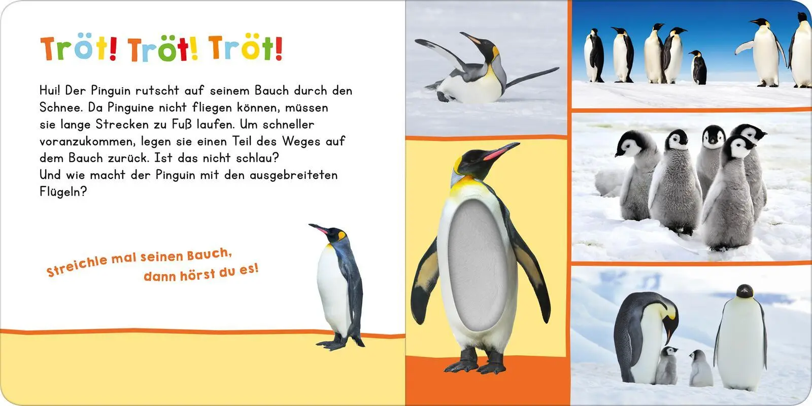 Bild: 9783845865812 | Hör mal rein, wer kann das sein? - Im Winter | Streicheln und hören