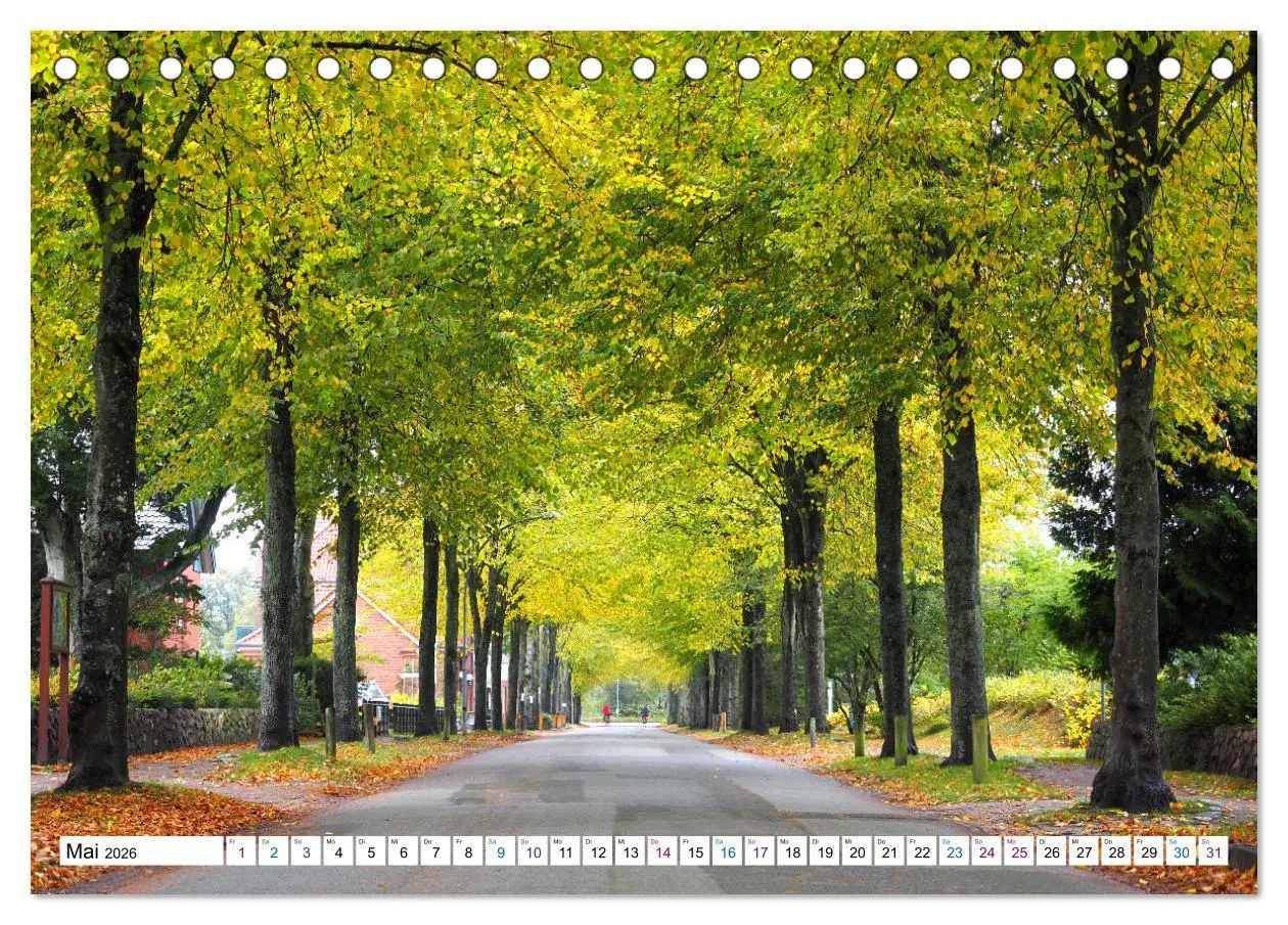 Bild: 9783457605912 | Föhr - Wasser Landschaft Wind und Meer (Tischkalender 2026 DIN A5...