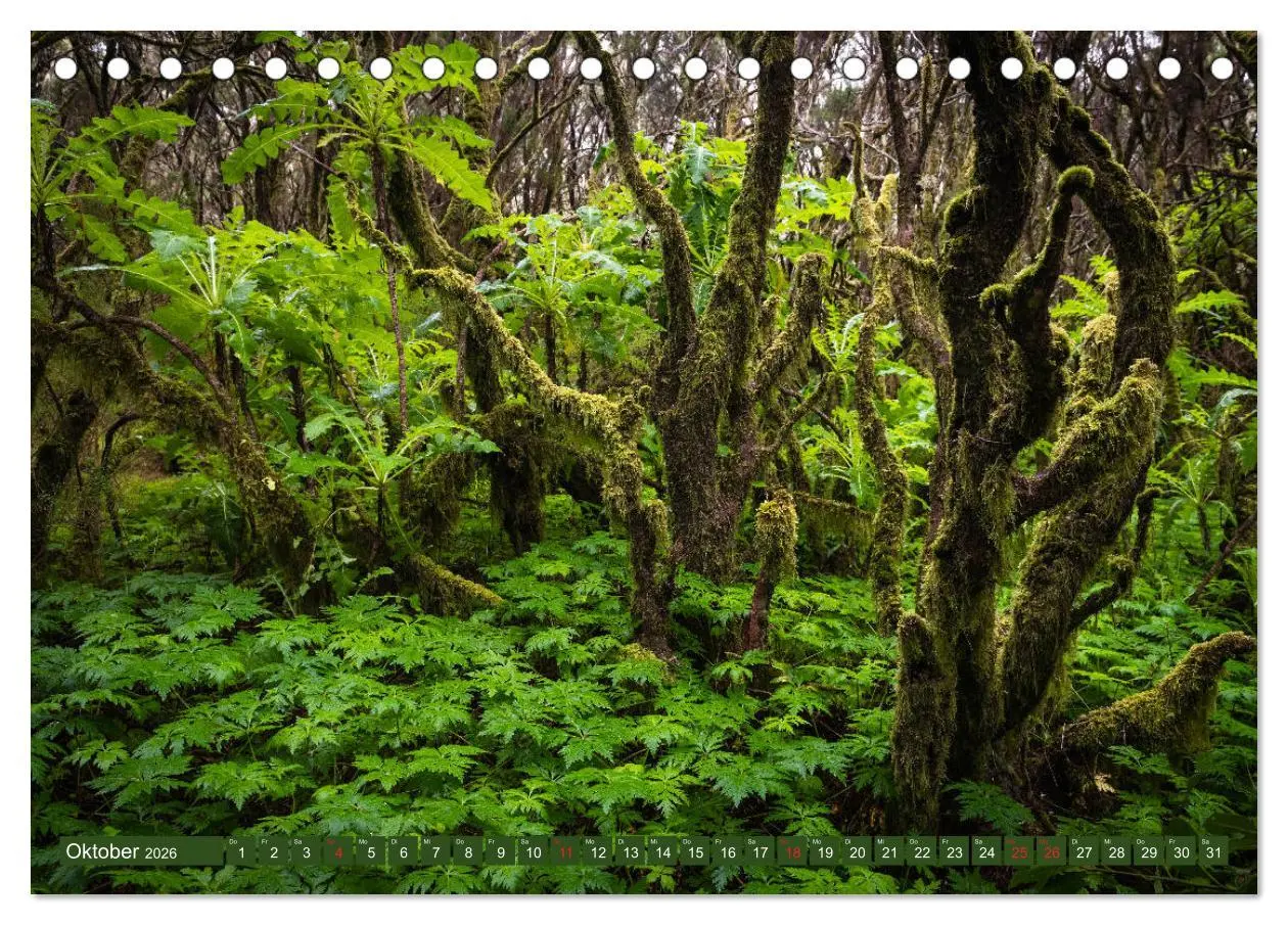 Bild: 9783457775912 | La Gomera - Vielseitige Insel (Tischkalender 2026 DIN A5 quer),...