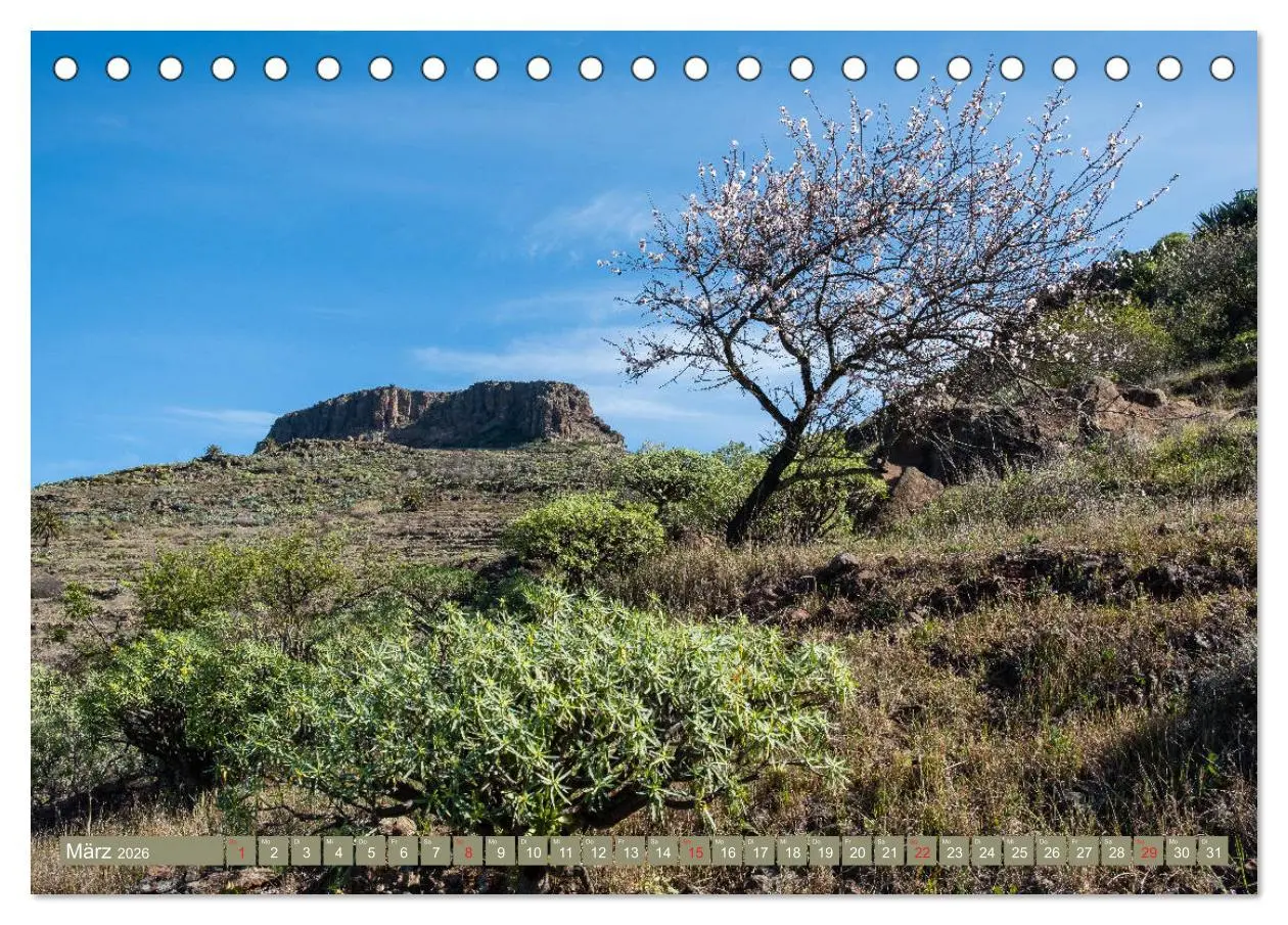 Bild: 9783457775912 | La Gomera - Vielseitige Insel (Tischkalender 2026 DIN A5 quer),...