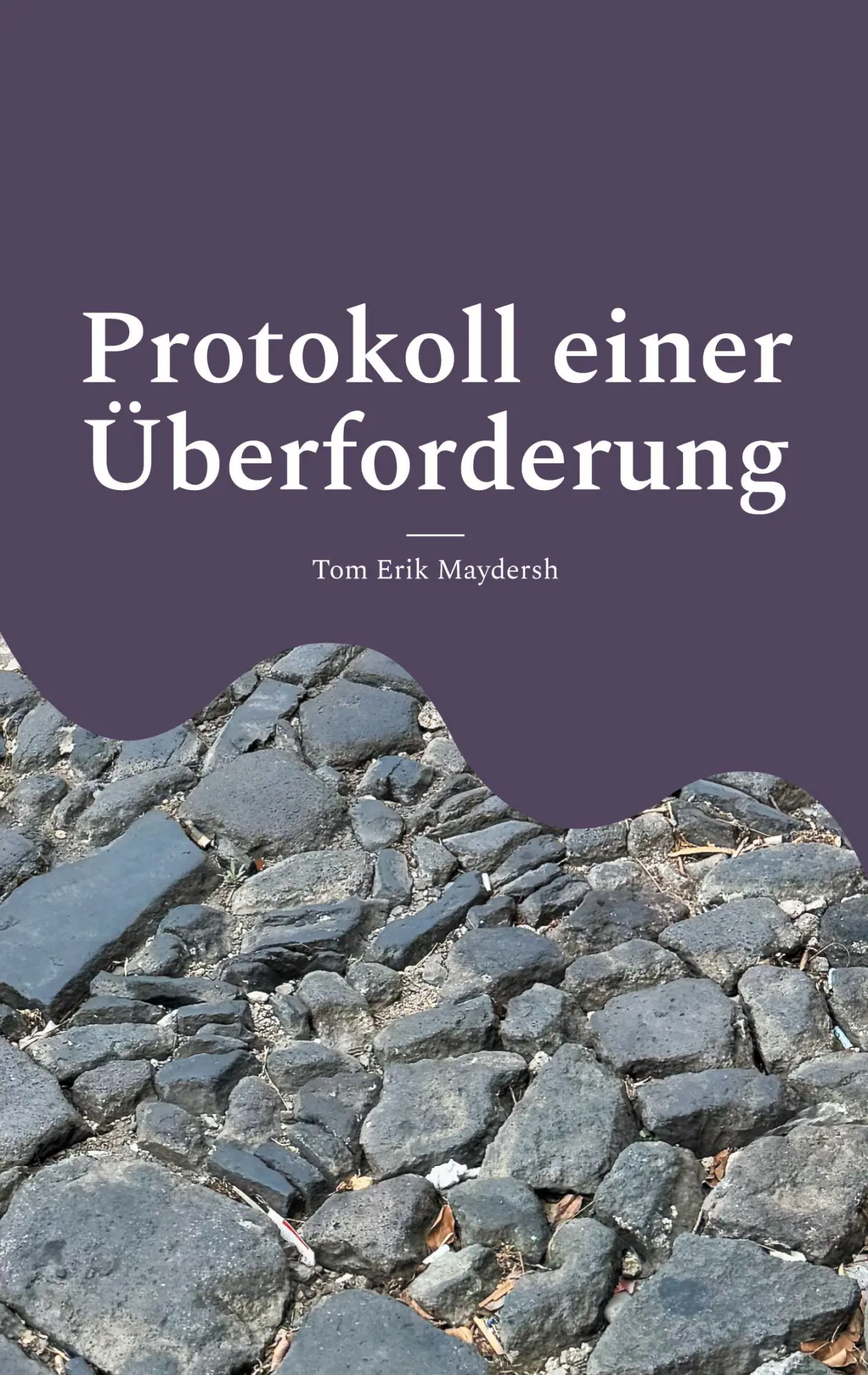 Cover: 9783695716012 | Protokoll einer Überforderung | auf der Suche nach Schuld | Maydersh