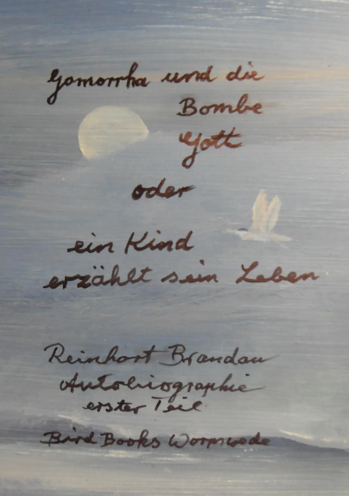 Cover: 9783848266012 | Gomorrha und die Bombe Gott | Ein Kind erzählt sein Leben | Brandau