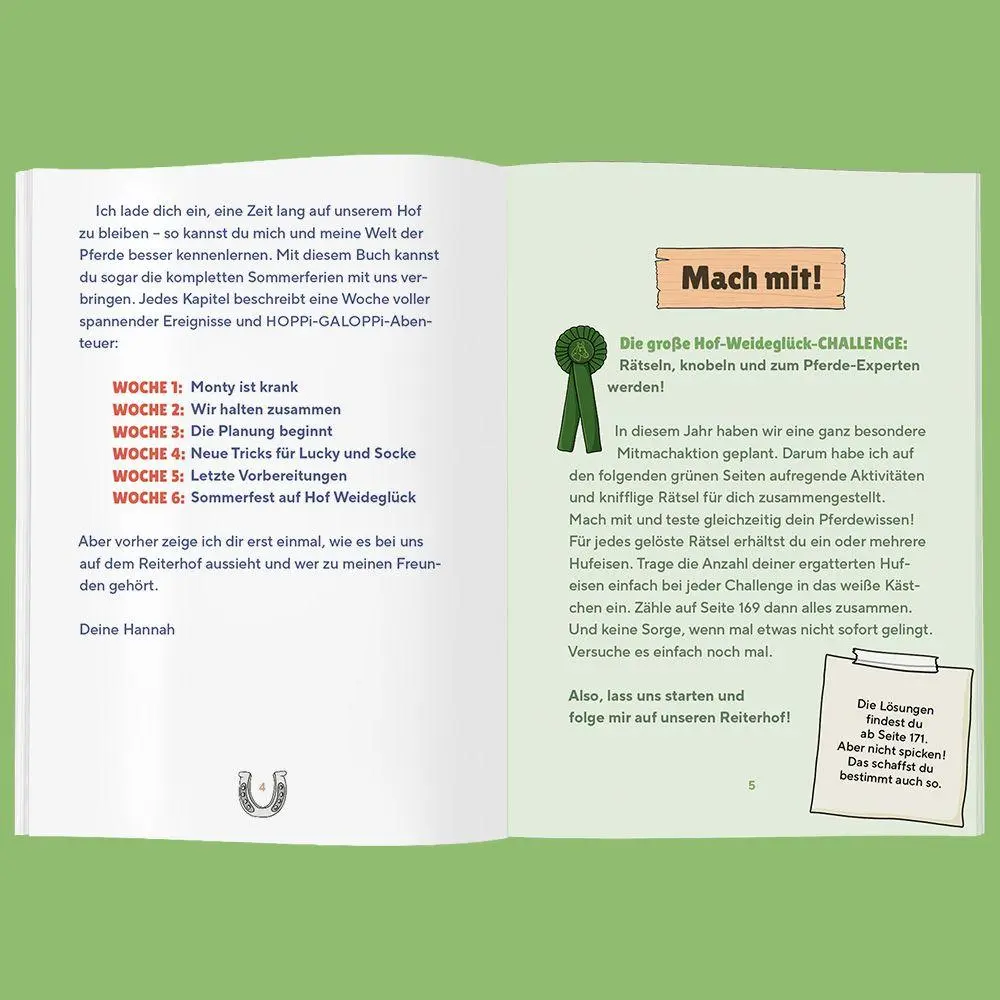 Bild: 9783960966012 | Sommerfest auf Hof Weideglück | Hella Gabbert | Taschenbuch | 176 S.