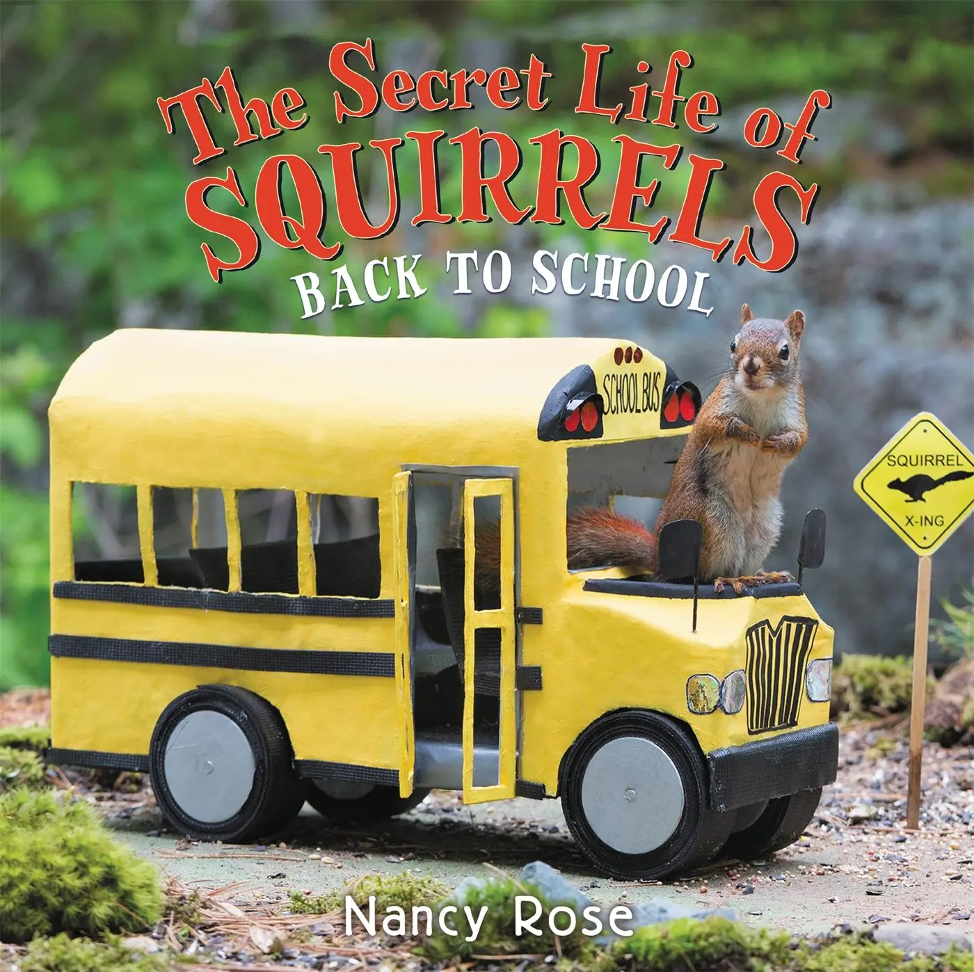 Cover: 9780316506212 | The Secret Life of Squirrels: Back to School! | Nancy Rose | Buch