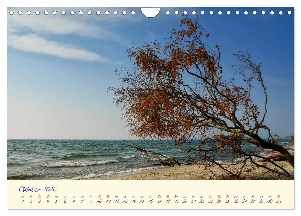 Bild: 9783457336212 | OSTSEEGLÜCK - Glücksmomente auf dem Darß (Wandkalender 2026 DIN A4...