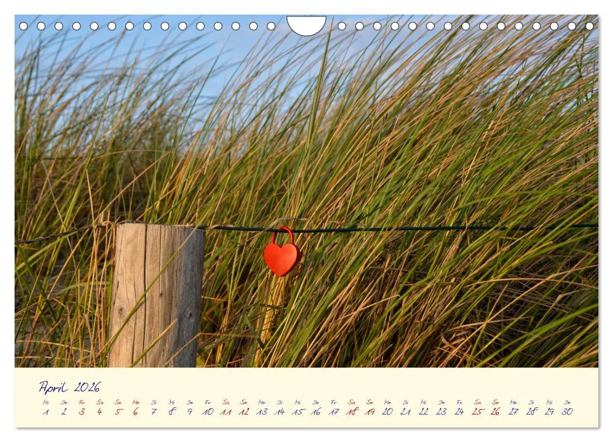 Bild: 9783457336212 | OSTSEEGLÜCK - Glücksmomente auf dem Darß (Wandkalender 2026 DIN A4...