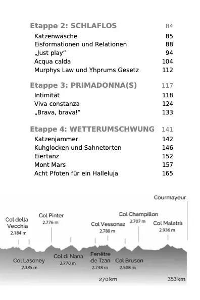 Bild: 9783903376212 | Trail and Error | Der Weg ist nicht das Ziel | Annabel Müller | Buch