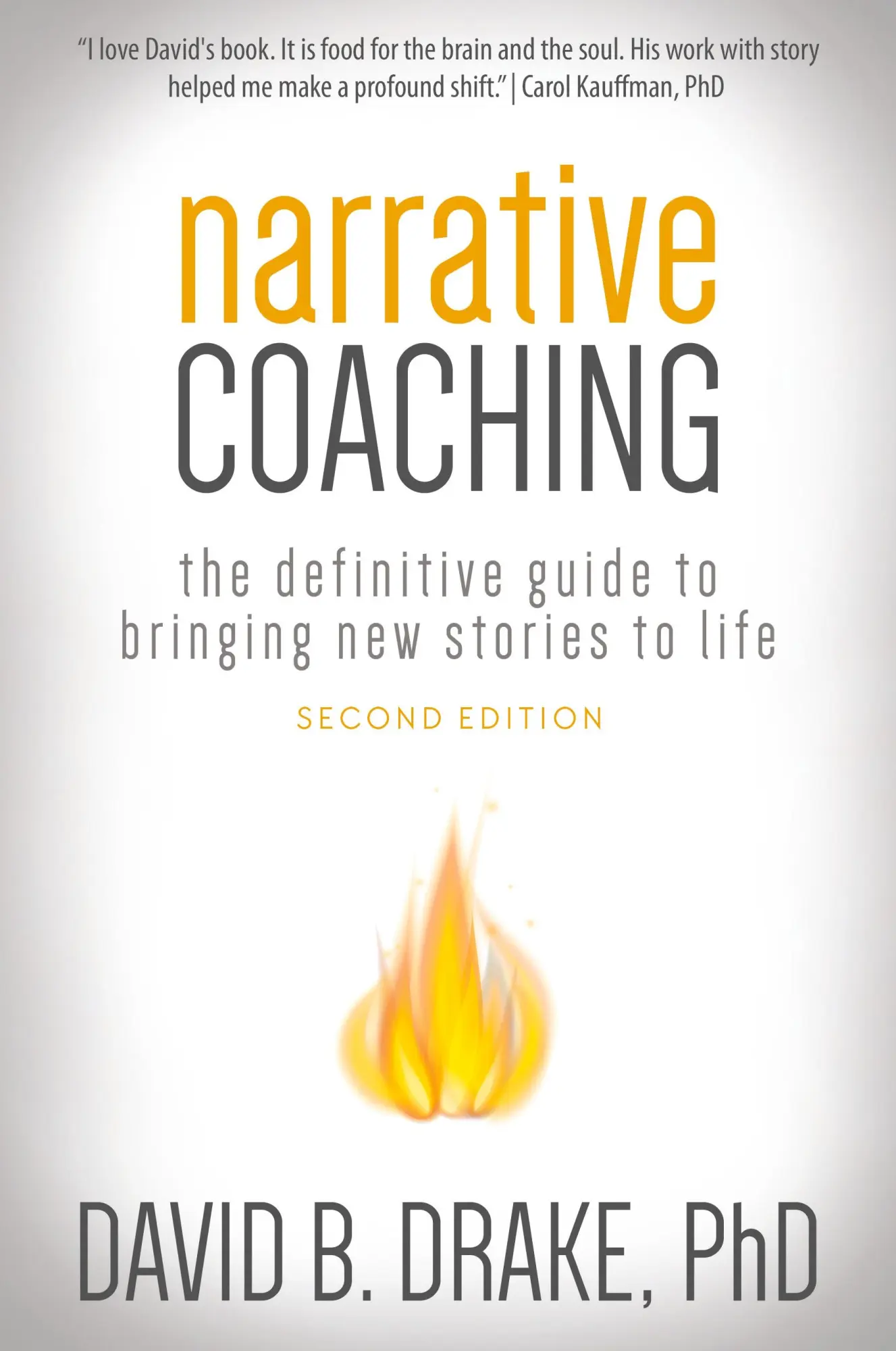 Cover: 9780996356312 | Narrative Coaching | David B Drake | Taschenbuch | Englisch | 2017