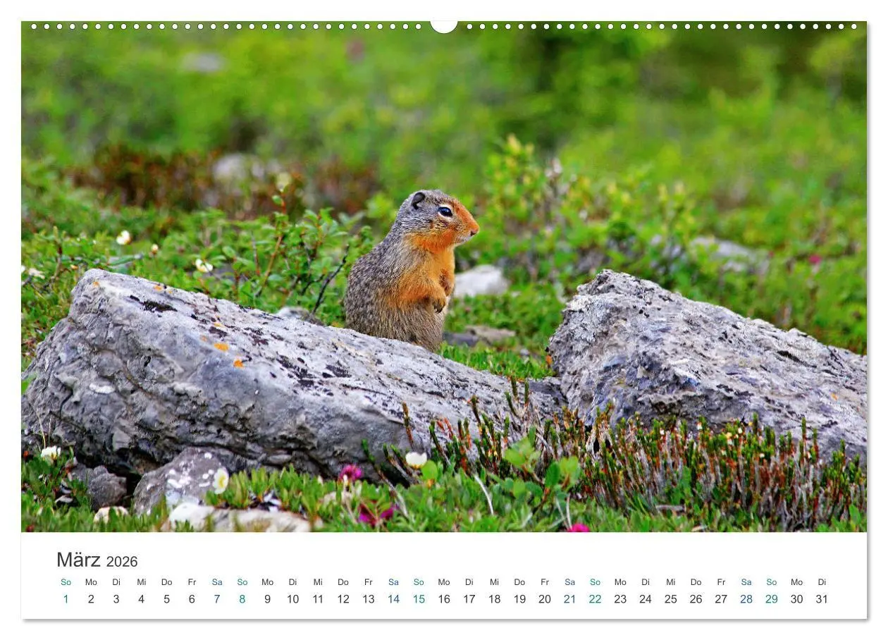 Bild: 9783457636312 | Icefields Parkway in Kanada (Wandkalender 2026 DIN A2 quer),...