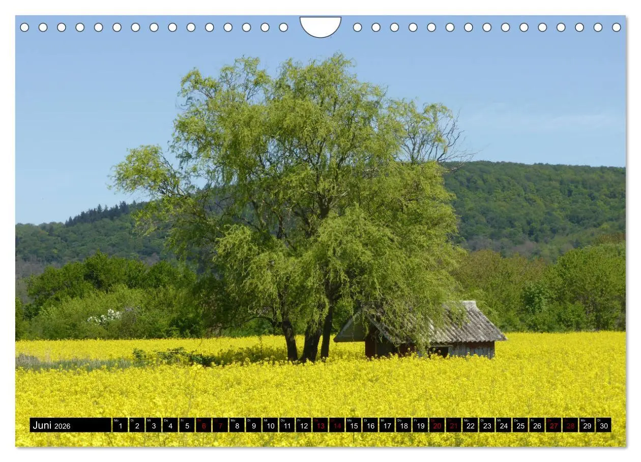 Bild: 9783457706312 | Badisch sympathisch Weingarten (Wandkalender 2026 DIN A4 quer),...