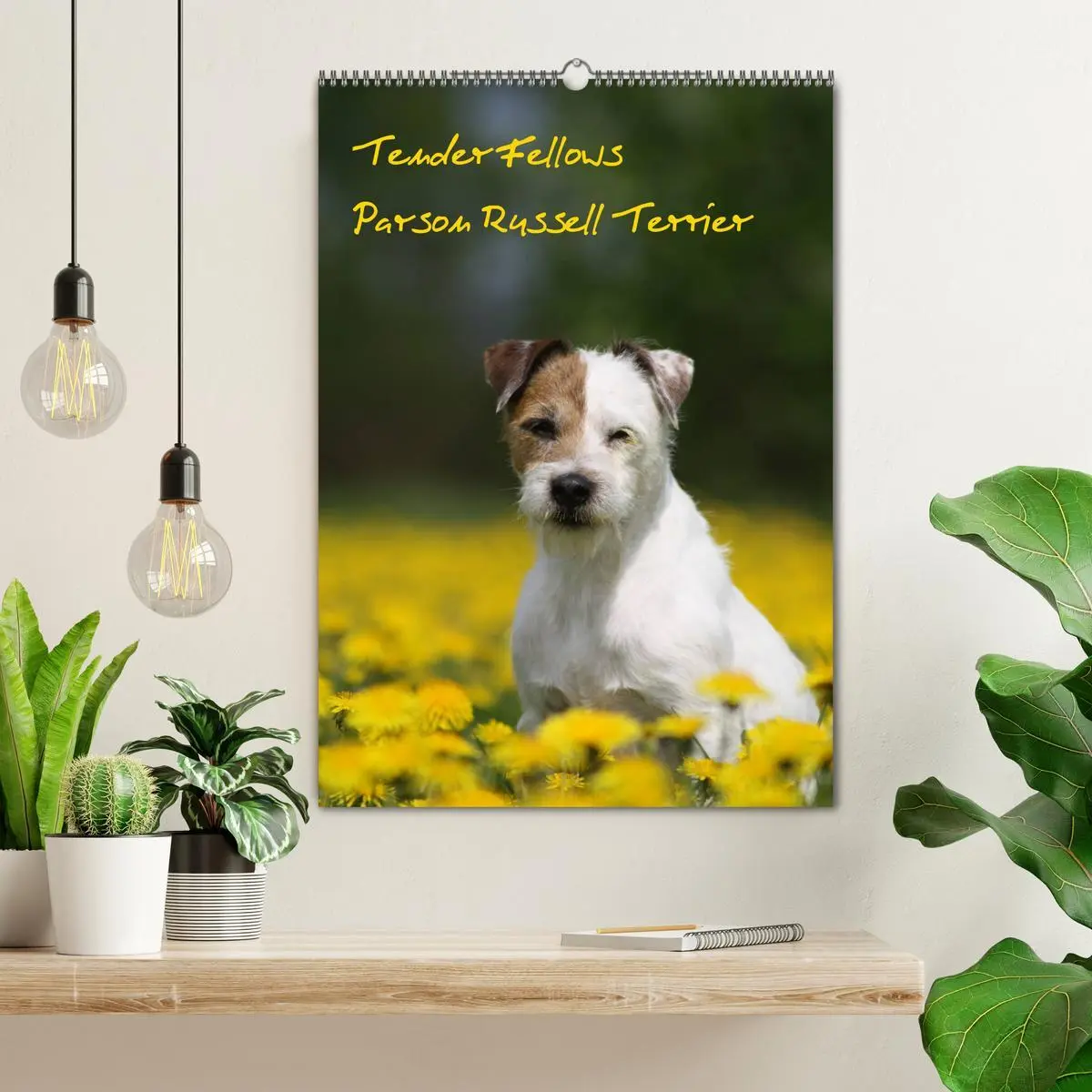 Bild: 9783516416312 | Tender Fellows - Parson Russell Terrier (Wandkalender 2026 DIN A2...