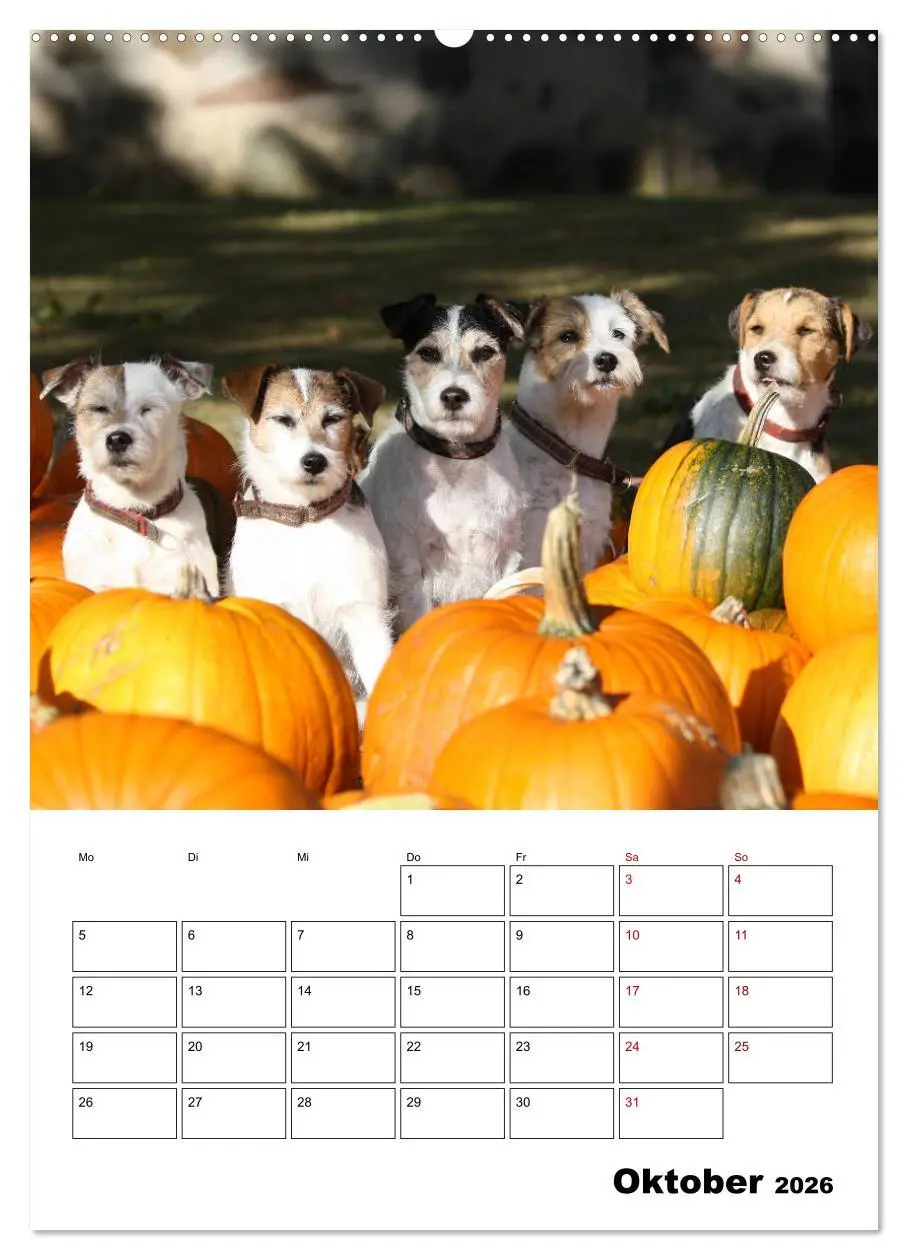 Bild: 9783516416312 | Tender Fellows - Parson Russell Terrier (Wandkalender 2026 DIN A2...