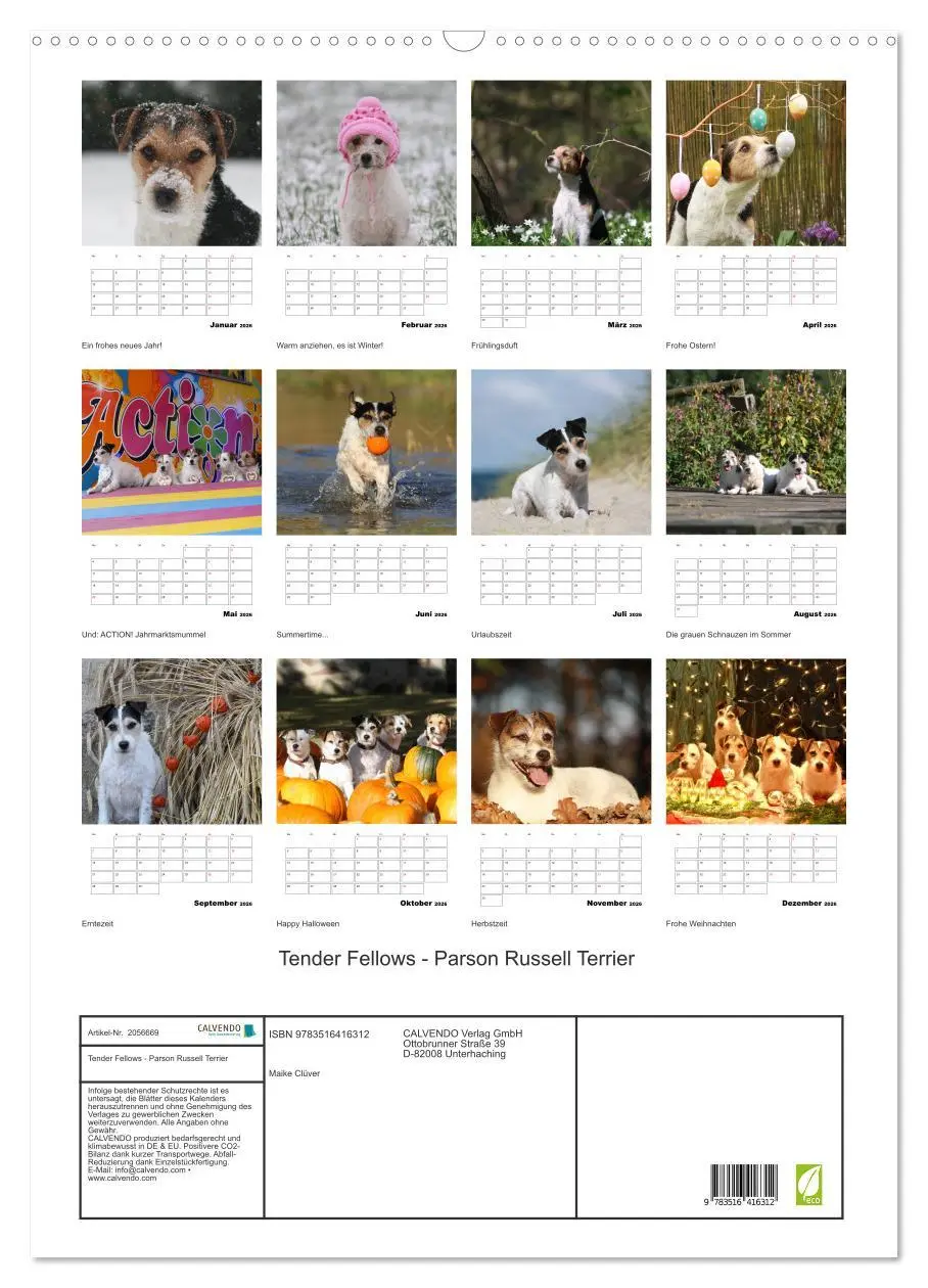 Bild: 9783516416312 | Tender Fellows - Parson Russell Terrier (Wandkalender 2026 DIN A2...