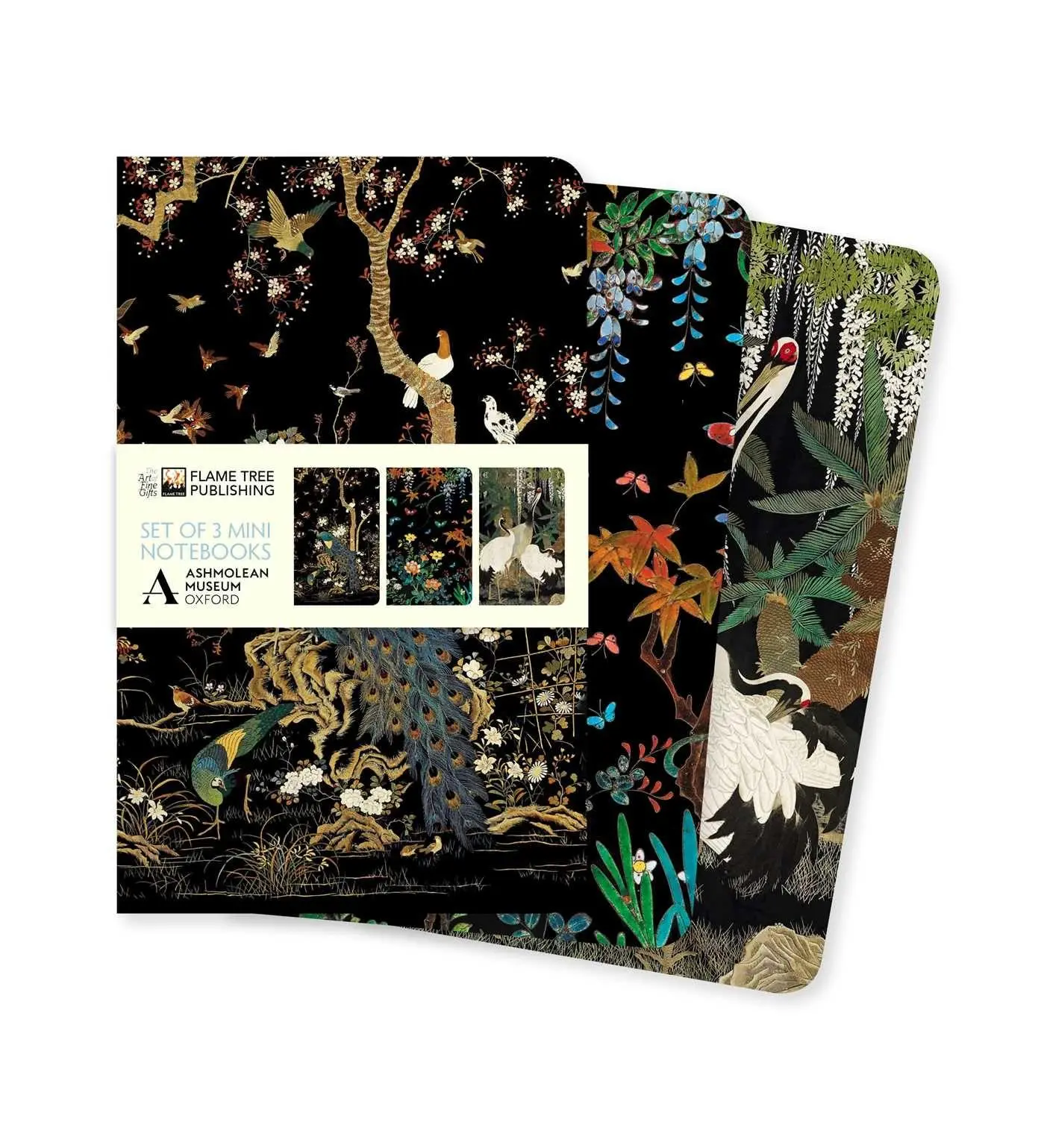Cover: 9781804176412 | Ashmolean Museum Set of 3 Mini Notebooks | Flame Tree Publishing