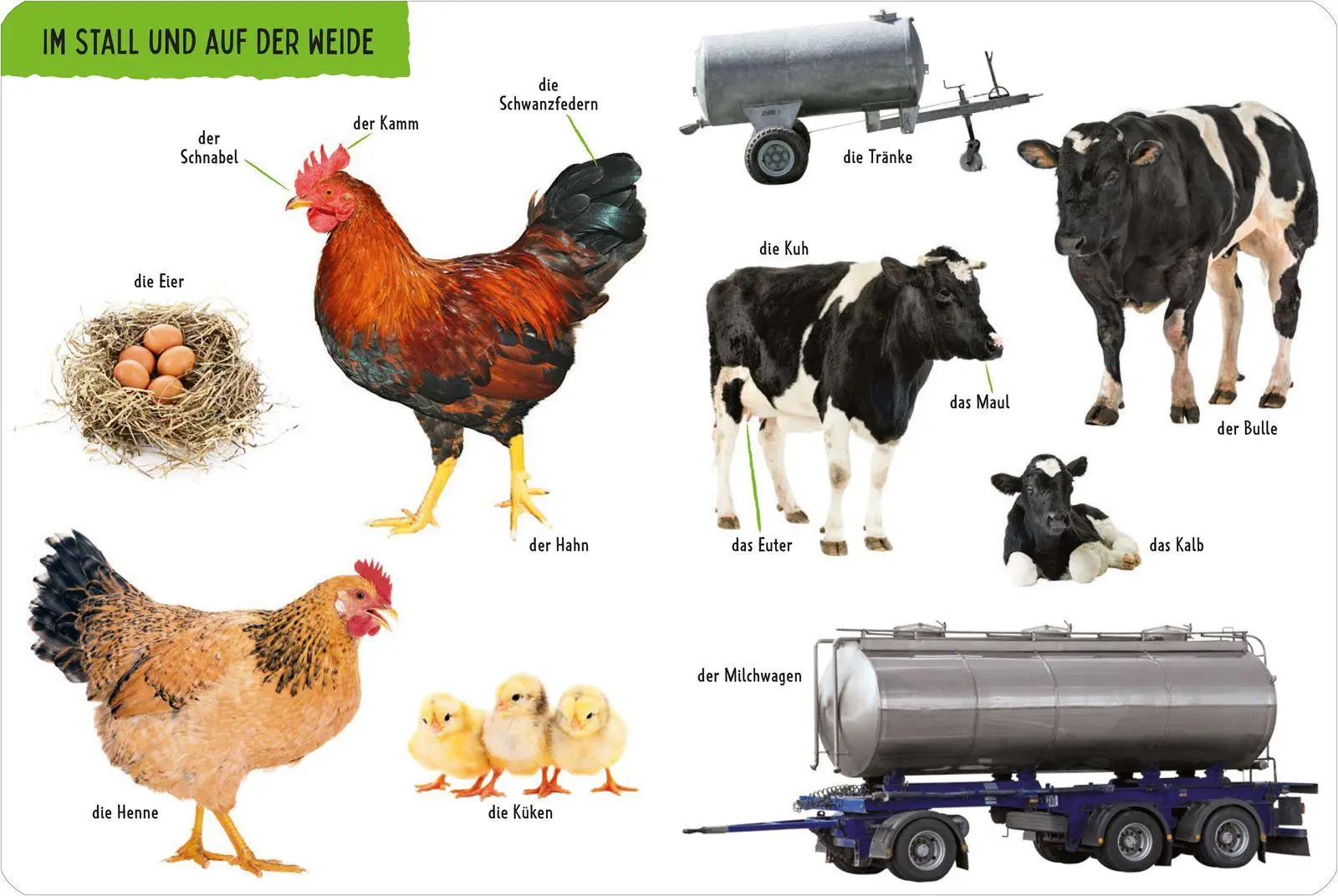 Bild: 9783737336512 | Duden 18+ Kennst du das? Mein großes Bauernhof-Bildwörterbuch | Buch