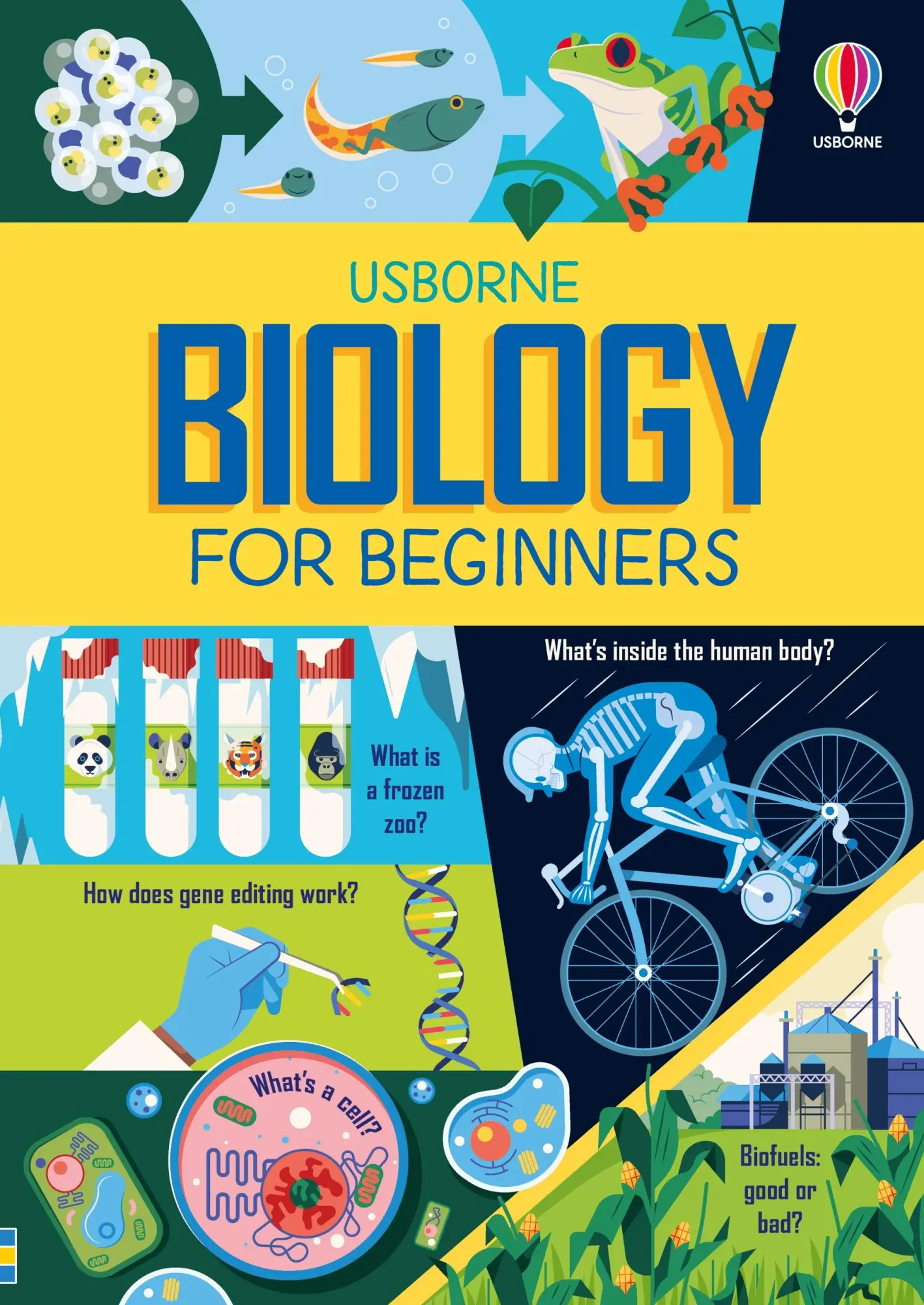 Cover: 9781805076612 | Biology for Beginners | Lizzie Cope (u. a.) | Buch | Englisch | 2025