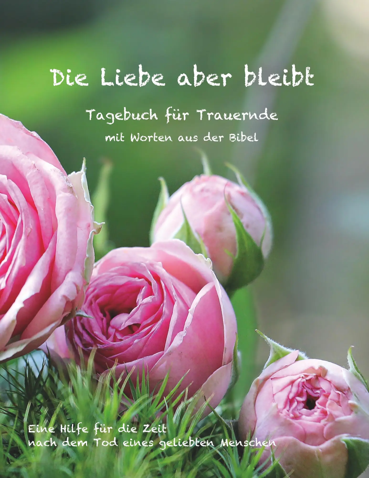 Cover: 9783748146612 | Die Liebe aber bleibt | Ulrike Englmann | Taschenbuch | Paperback