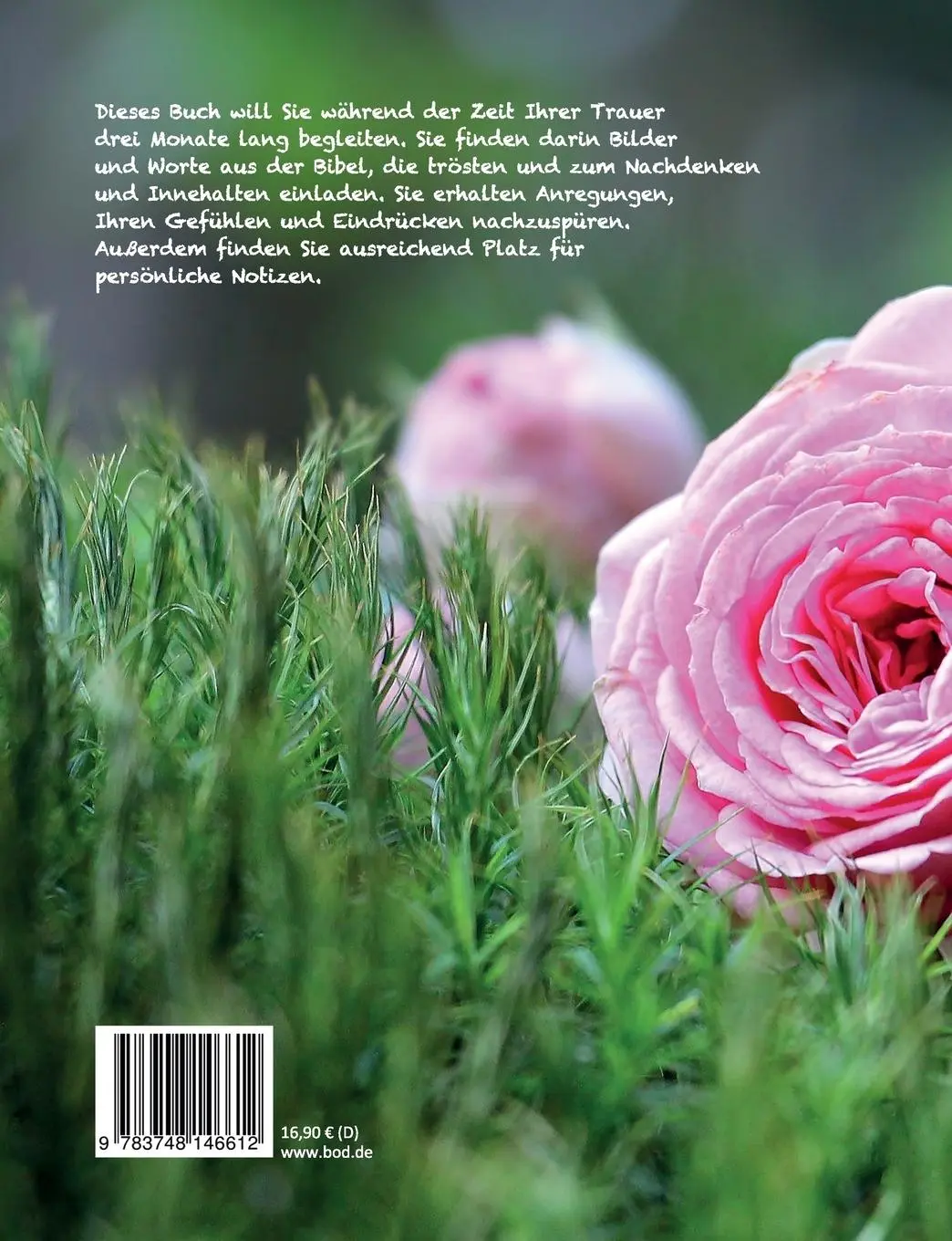 Rückseite: 9783748146612 | Die Liebe aber bleibt | Ulrike Englmann | Taschenbuch | Paperback