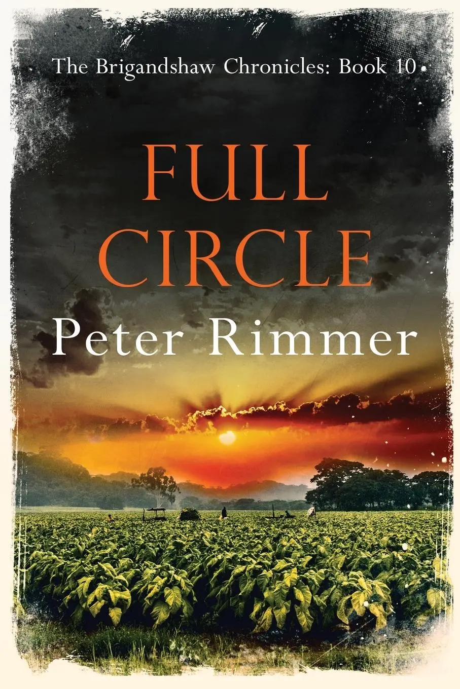 Cover: 9781838286712 | Full Circle | Peter Rimmer | Taschenbuch | Englisch | 2021