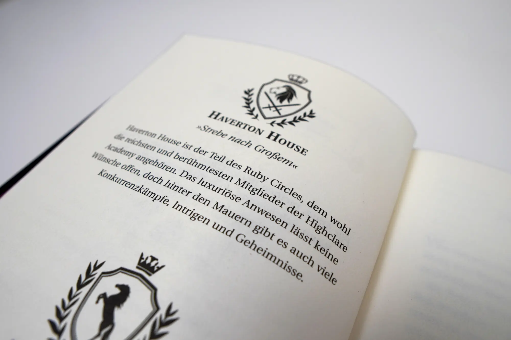 Bild: 9783401606712 | The Ruby Circle (1). All unsere Geheimnisse | Jana Hoch | Buch | 2023