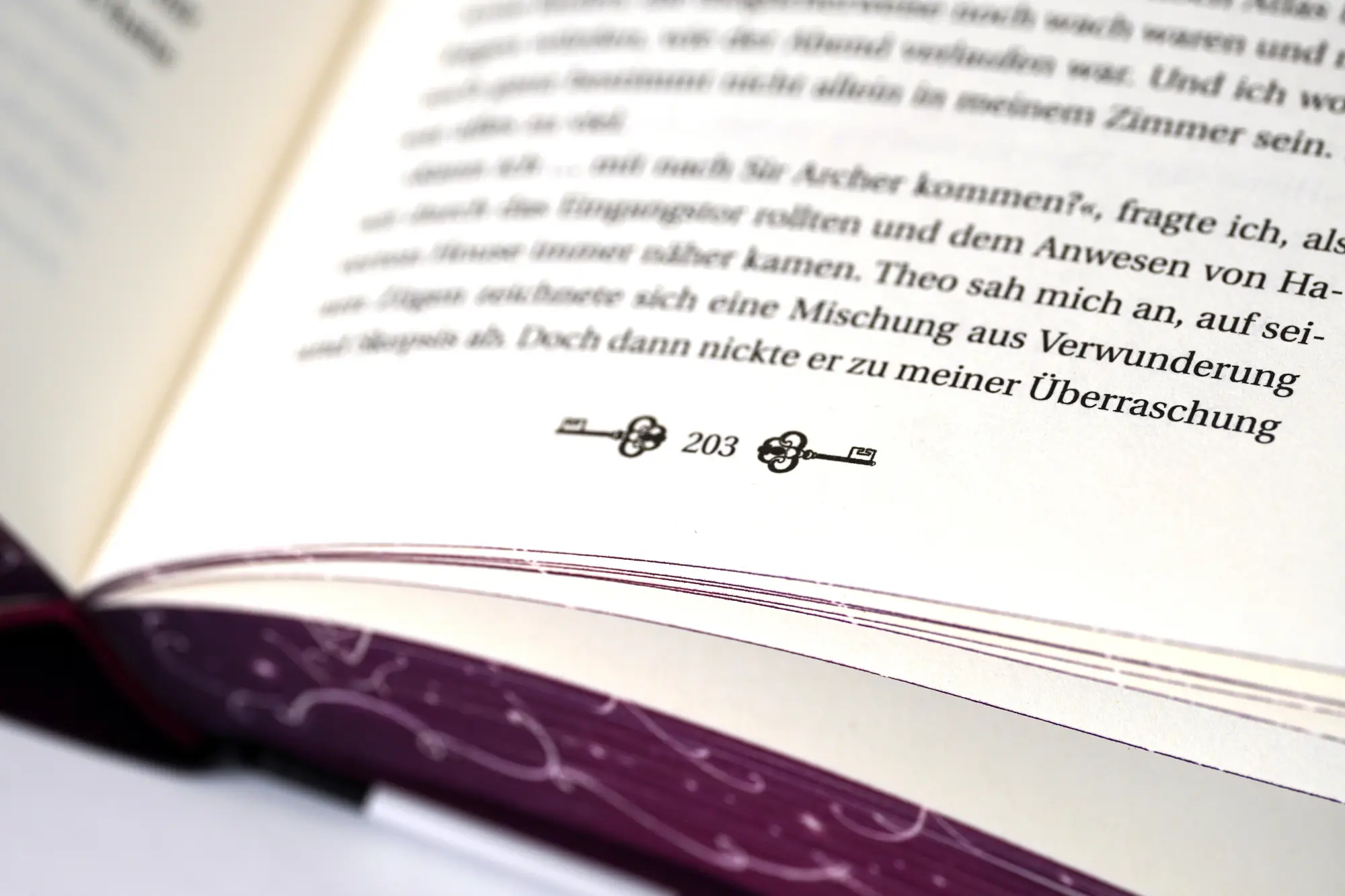 Bild: 9783401606712 | The Ruby Circle (1). All unsere Geheimnisse | Jana Hoch | Buch | 2023