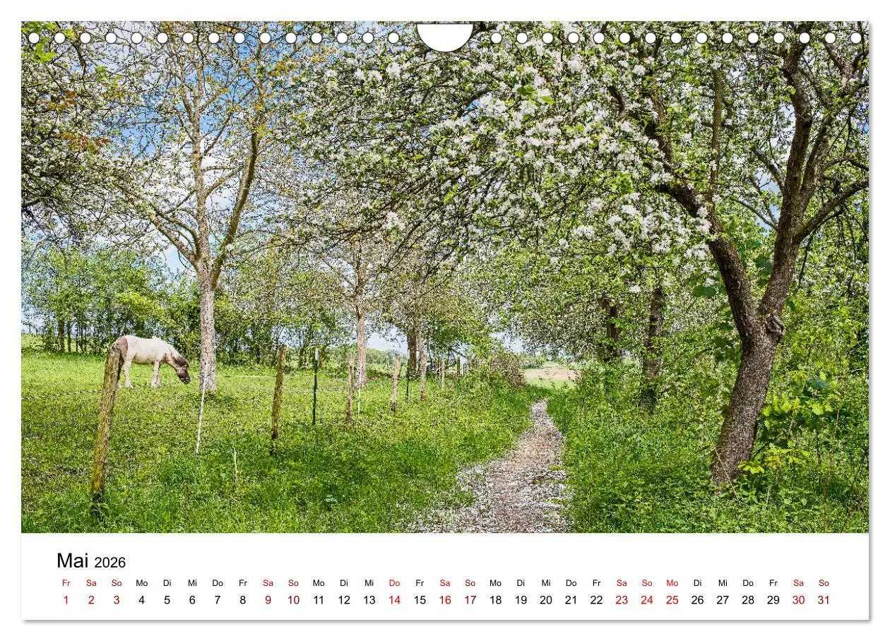 Bild: 9783457906712 | Höhepunkte des Siebengebirges (Wandkalender 2026 DIN A4 quer),...