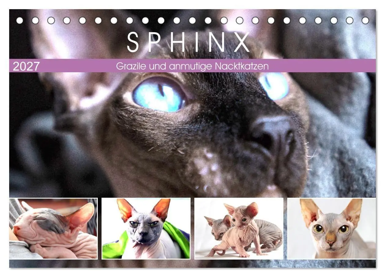 Sphinx. Grazile und anmutige Nacktkatzen (Tischkalender 2027 DIN A5 quer), CALVENDO Monatskalender
