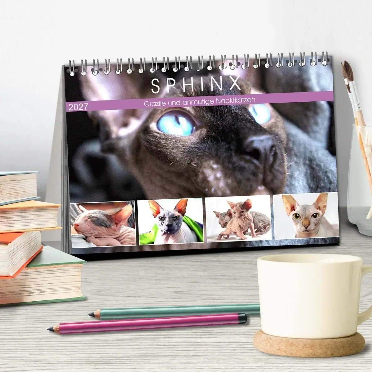 Bild: 9783569496712 | Sphinx. Grazile und anmutige Nacktkatzen (Tischkalender 2027 DIN A5...