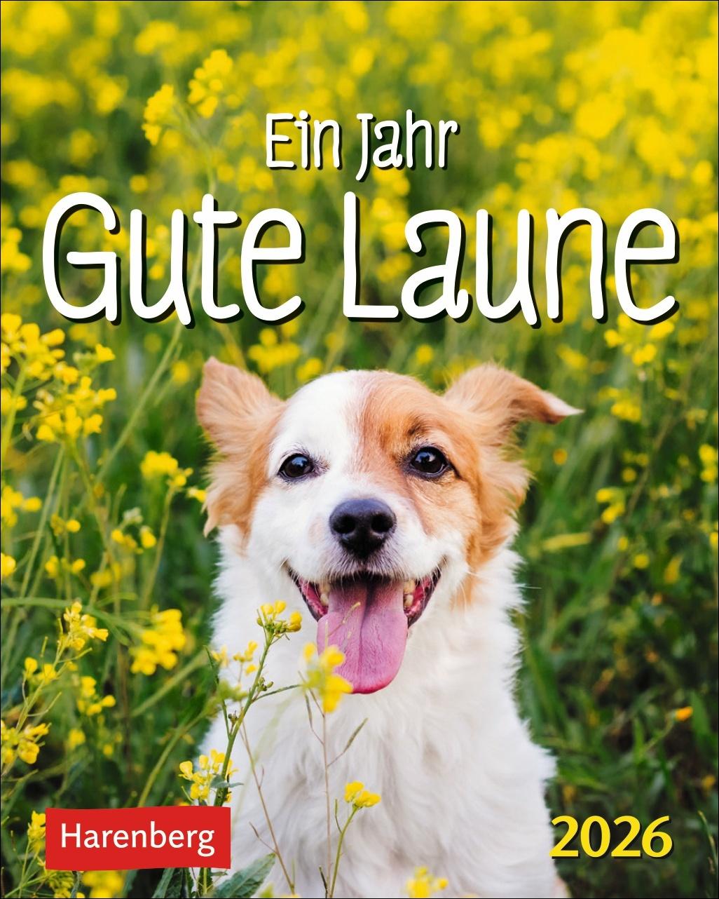 Cover: 9783840036712 | Ein Jahr gute Laune Mini-Geschenkkalender 2026 | Beatrix Braukmüller