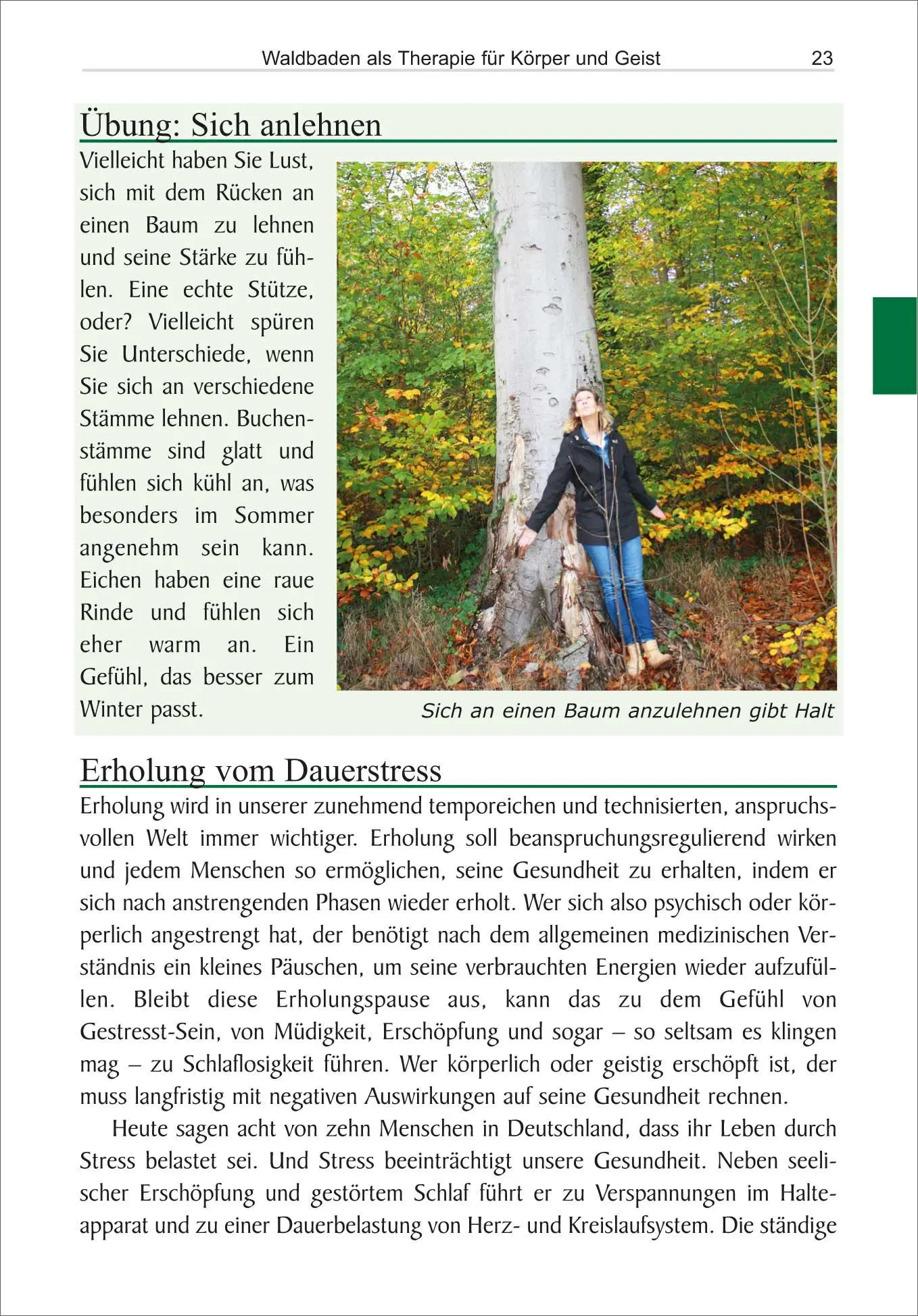 Bild: 9783866866812 | Waldbaden | Die Kraft der Natur nutzen | Ulrike Katrin Peters | Buch