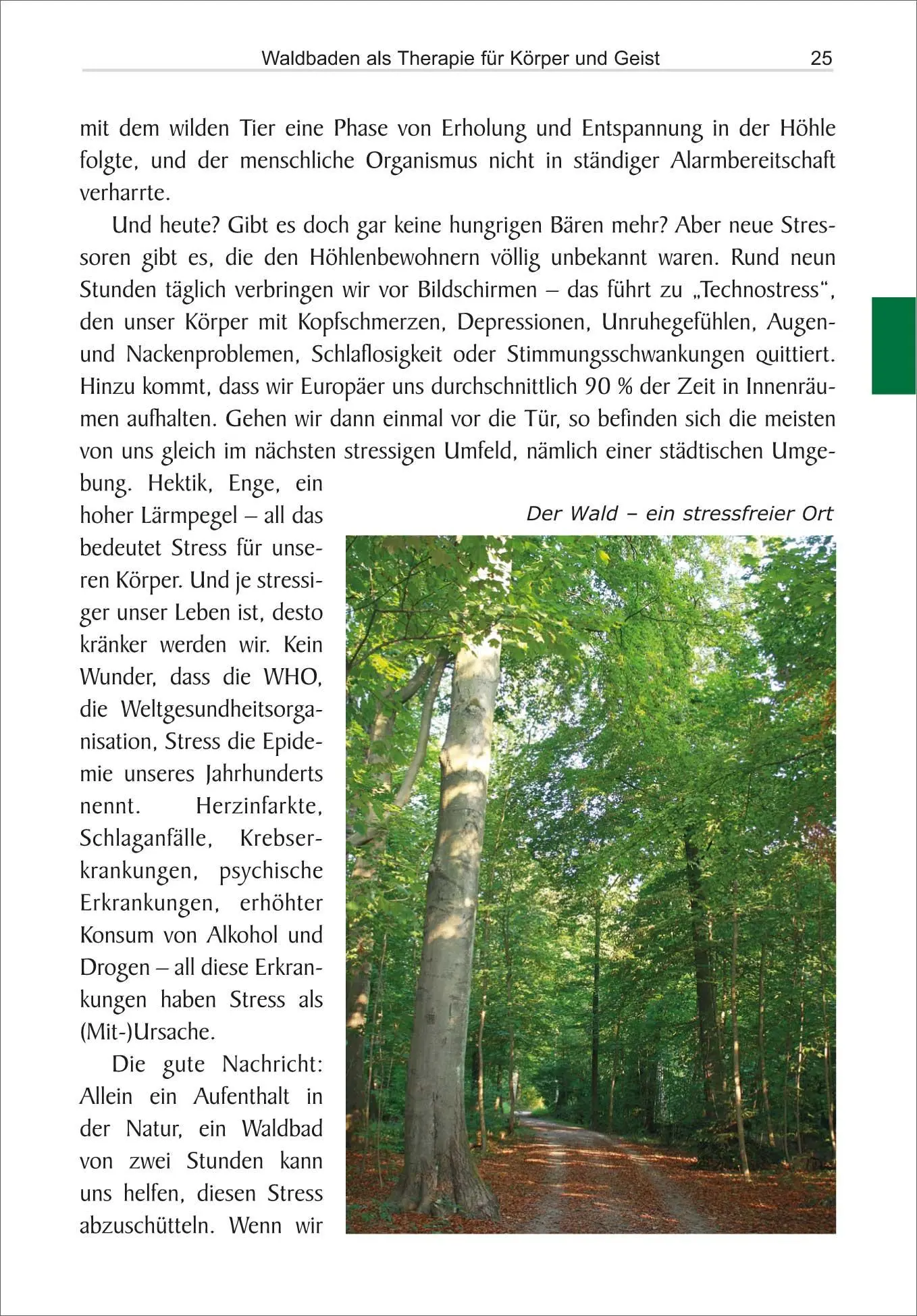 Bild: 9783866866812 | Waldbaden | Die Kraft der Natur nutzen | Ulrike Katrin Peters | Buch